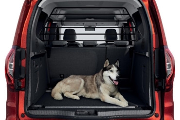 Renault Kangoo III