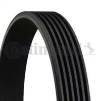 Curea transmisie cu caneluri CONTITECH 6PK831ELAST