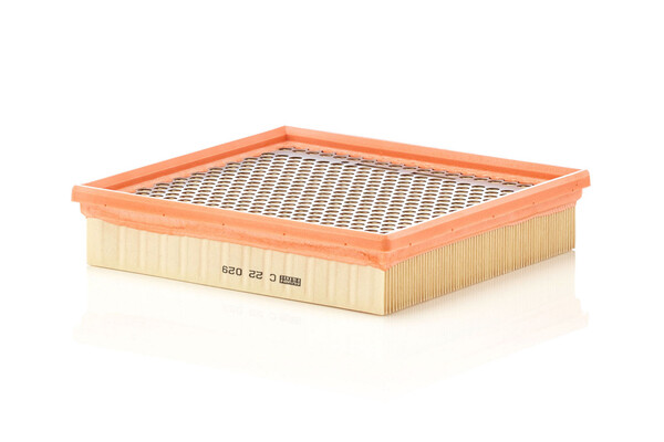 Filtru aer MANN-FILTER C22029